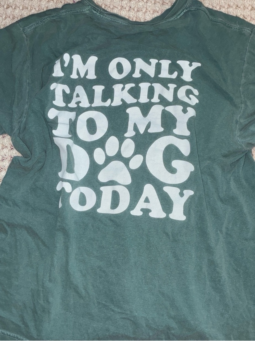 Graphic Tee - "I'm Only Talking To My Dog Today" in Forest Green